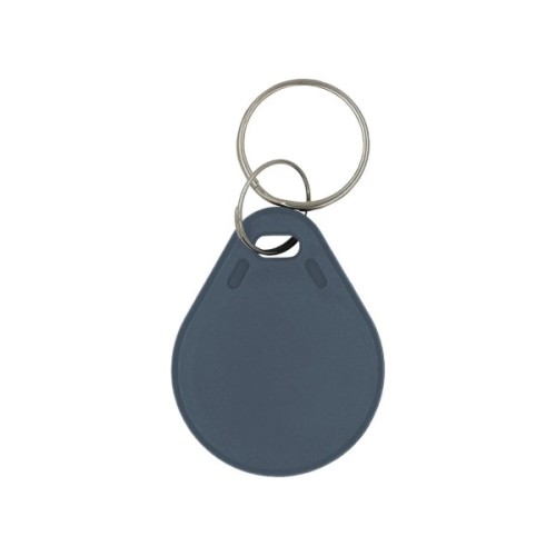 Брелок з чіпом Trinix P-key RW gray