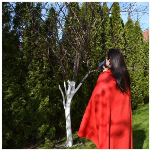 Плед Bergamo флісовий Warm у чохлі 150 х 180 см Червоний (202311pl-02)