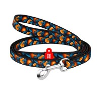 Повідець для котів WAUDOG Nylon "Апельсини" Ш 10 мм Д 122 см (369-4054)