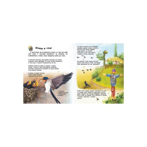 Книга Птахи. Енциклопедія дошкільника - Юлія Каспарова Ранок (9786170969149)