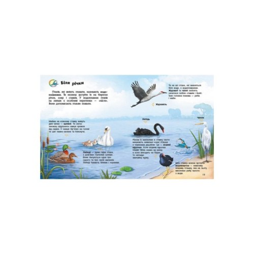 Книга Птахи. Енциклопедія дошкільника - Юлія Каспарова Ранок (9786170969149)