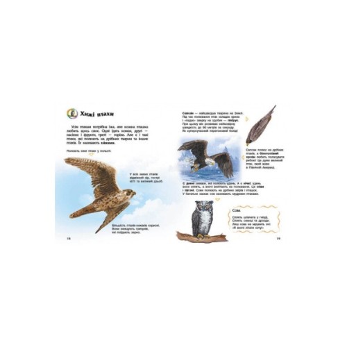 Книга Птахи. Енциклопедія дошкільника - Юлія Каспарова Ранок (9786170969149)