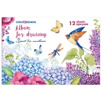 Альбом для малювання Cool For School на скобі , 12 аркушів (CF60905-09)