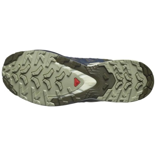 Кросівки Salomon XA Pro 3D V9 India Ink/Olive Night/Aloe Wash 7 (L47467500-7)