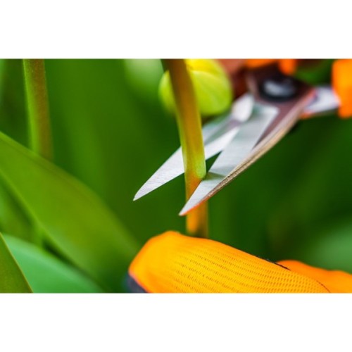 Ножиці садові Neo Tools 18.5мм, 115г (15-215)