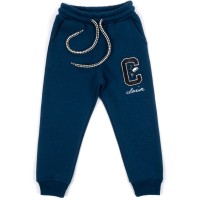 Штани дитячі Cloise флісові (CL0155007-104-blue)