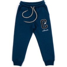 Штани дитячі Cloise флісові (CL0155007-104-blue)