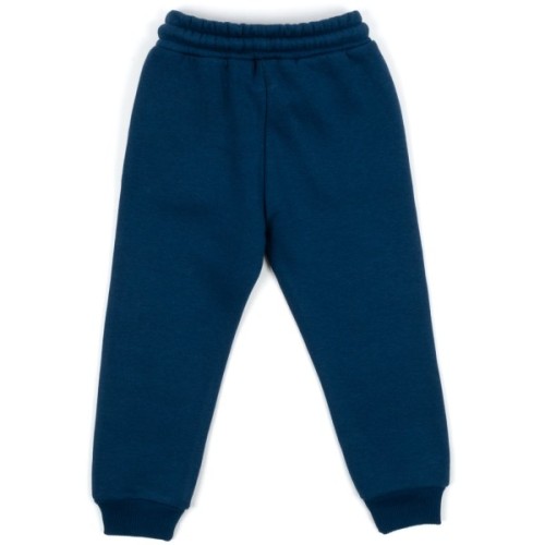 Штани дитячі Cloise флісові (CL0155007-104-blue)
