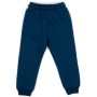 Штани дитячі Cloise флісові (CL0155007-104-blue)