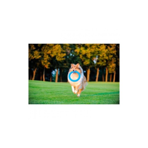 Іграшка для собак Collar PitchDog Кільце для апортування 20 см блакитне (62372)