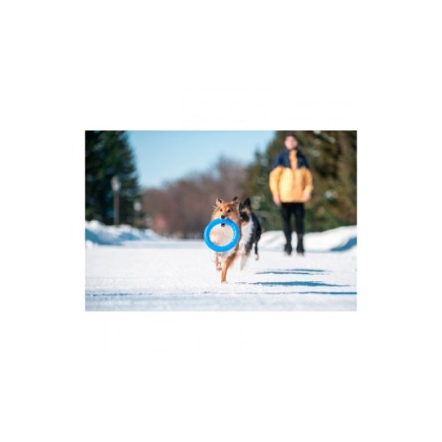 Іграшка для собак Collar PitchDog Кільце для апортування 20 см блакитне (62372)