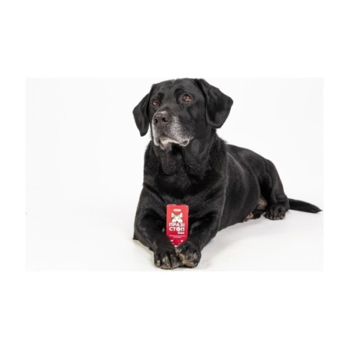 Таблетки для тварин ProVET Празістоп Ультра для собак 2 табл (антигельминтик) (4823082425037)