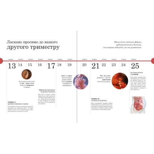 Книга Практична психологія. Вагітність день за днем - Меґґі Блотт Ранок (9786170991058)