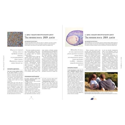 Книга Практична психологія. Вагітність день за днем - Меґґі Блотт Ранок (9786170991058)