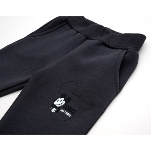 Спортивний костюм дитячий Smile флисовий (23163-98B-gray)