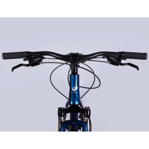 Велосипед Formula 29" MOTION DD FR рама-19" AL 2026 синiй з чорним (OPS-FR-29-420)