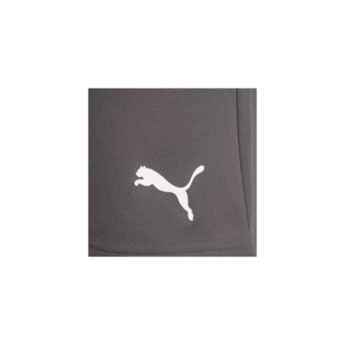 Шорти Puma teamRISE Short 704942-13 сірий M (4063699212051)