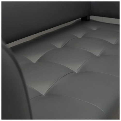 Диван офісний Richman Офіс Подвійний зі спинкою і підлокітниками на металокаркасі Роккі 95 (R00000047721)