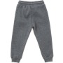 Штани дитячі Cloise флісові (CL0155019-104-gray)