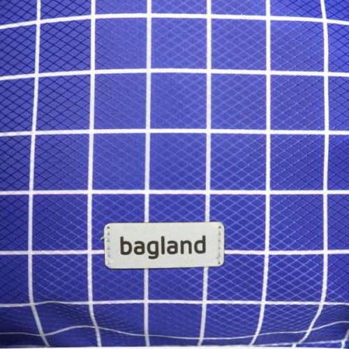 Сумка для взуття Bagland Roly 1328 Сублімація 8 л (005663324) (1084019780)