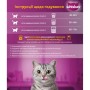 Сухий корм для кішок Whiskas з яловичиною 800 г (5998749144145/5900951294013)
