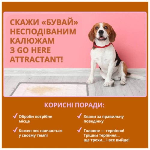 Спрей для тварин OUT! GO HERE для привчання собак до туалету 945 мл (0010279705445)
