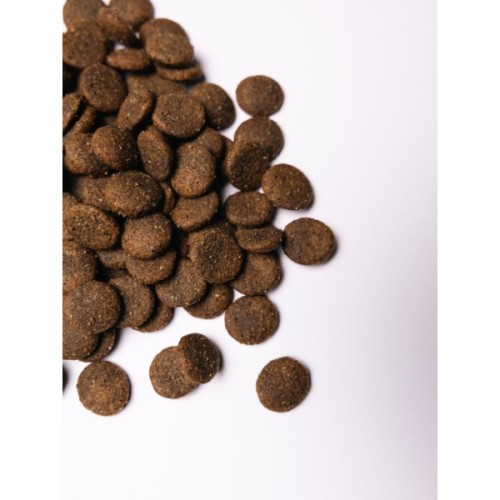 Сухий корм для собак Savory Large Breeds rich in Fresh Turkey and Lamb 12 кг (4820232630242)