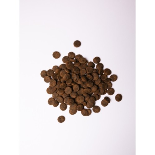 Сухий корм для собак Savory Large Breeds rich in Fresh Turkey and Lamb 12 кг (4820232630242)