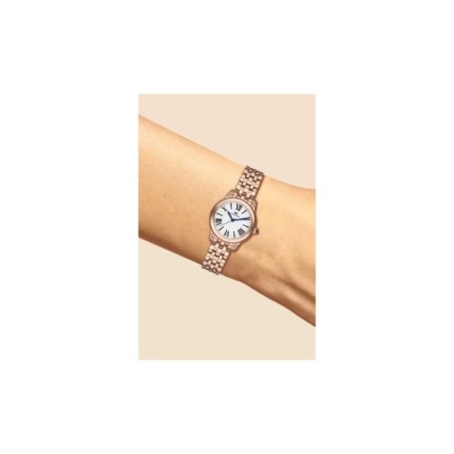 Наручний годинник Ferro F2720A-980-C