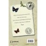 Книга Син: повість - Алехандро Паломас BookChef (9786175485385)