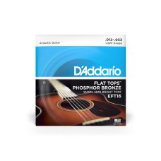 Струни для гітари D'Addario Flat Tops Phosphor Bronze Light (12-53) (EFT16)