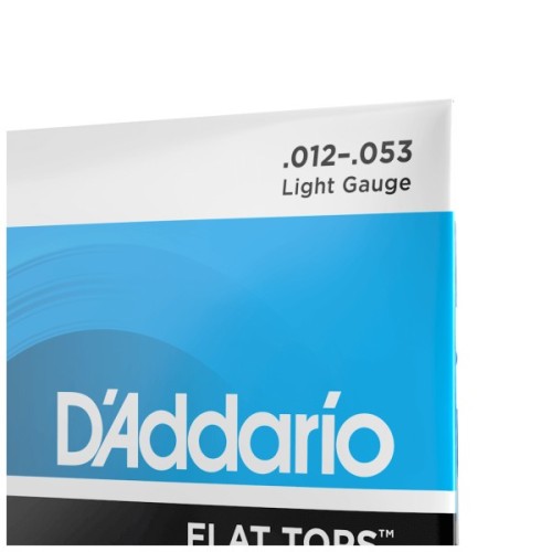 Струни для гітари D'Addario Flat Tops Phosphor Bronze Light (12-53) (EFT16)