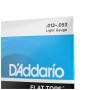 Струни для гітари D'Addario Flat Tops Phosphor Bronze Light (12-53) (EFT16)