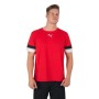 Футболка Puma teamRISE Jersey 704932-01 червоний S (4063699212082)