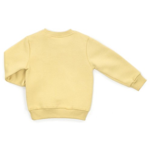 Спортивний костюм дитячий Toontoy флісовий (24315-92B-green)