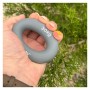 Еспандер PowerPlay PP-4324 Hand Grip Ring X-Hard 30 кг Сірий (PP_4324_30kg)