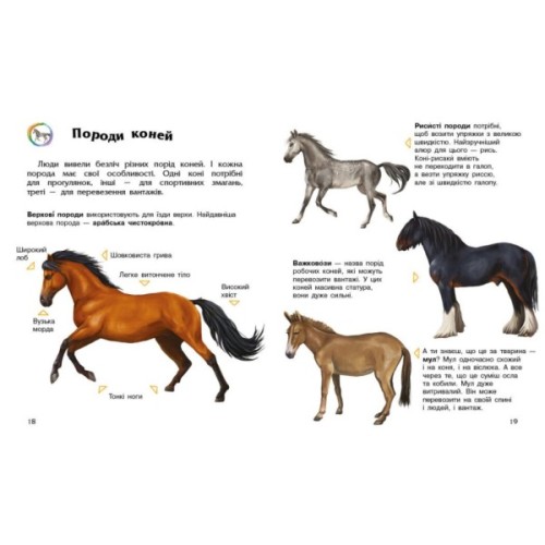 Книга Коні. Енциклопедія дошкільника - Юлія Каспарова Ранок (9786170977816)