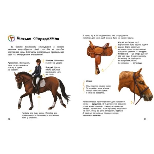 Книга Коні. Енциклопедія дошкільника - Юлія Каспарова Ранок (9786170977816)