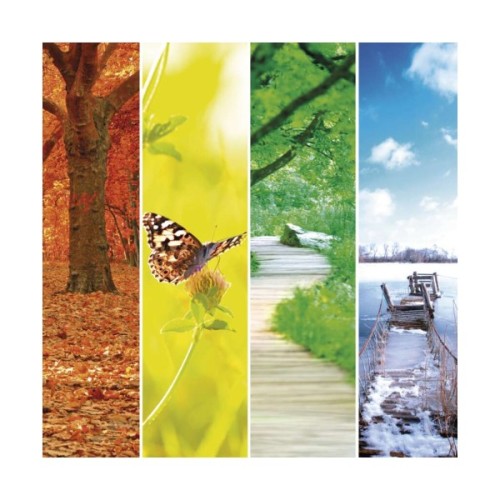 Датчик температури EMOS E0042