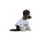 Футболка для тварин Pet Fashion Polo XS (4823082446377)