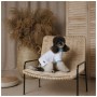 Футболка для тварин Pet Fashion Polo XS (4823082446377)