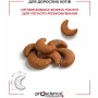 Сухий корм для кішок ProScience Adult Cat Chicken 15 кг (8694686407721)