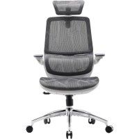 Офісне крісло Sihoo M59AS Mesh Gray (M59AS-M301)