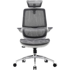 Офісне крісло Sihoo M59AS Mesh Gray (M59AS-M301)