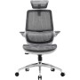 Офісне крісло Sihoo M59AS Mesh Gray (M59AS-M301)