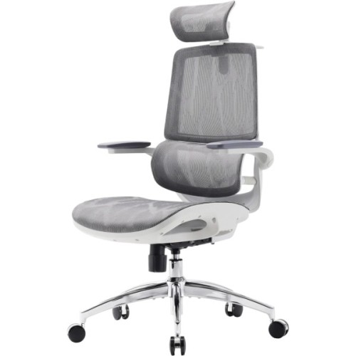 Офісне крісло Sihoo M59AS Mesh Gray (M59AS-M301)