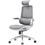 Офісне крісло Sihoo M59AS Mesh Gray (M59AS-M301)