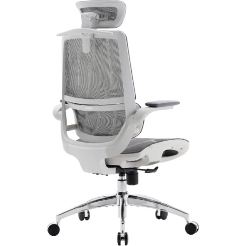 Офісне крісло Sihoo M59AS Mesh Gray (M59AS-M301)