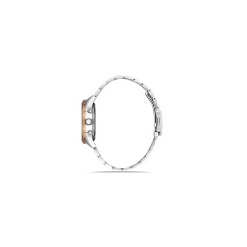 Наручний годинник Ferro FL21258A-E