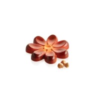 Форма для шоколаду Silikomart серія "Chocado" Квітка кнелі (CH049 - AURORA-T)